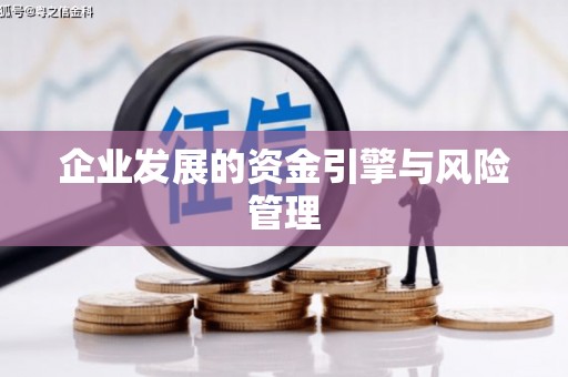 安仁企业发展的资金引擎与风险管理