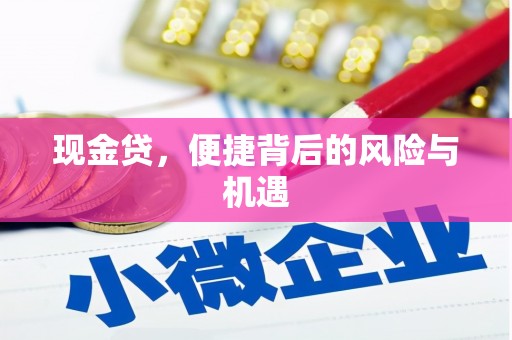 龙江现金贷，便捷背后的风险与机遇