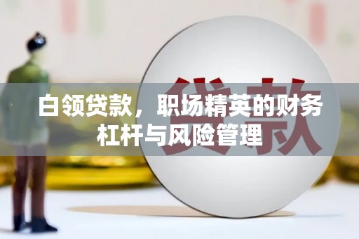 巴里坤白领贷款，职场精英的财务杠杆与风险管理