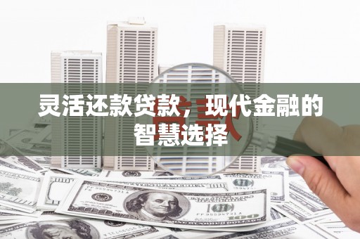 大洼灵活还款贷款，现代金融的智慧选择