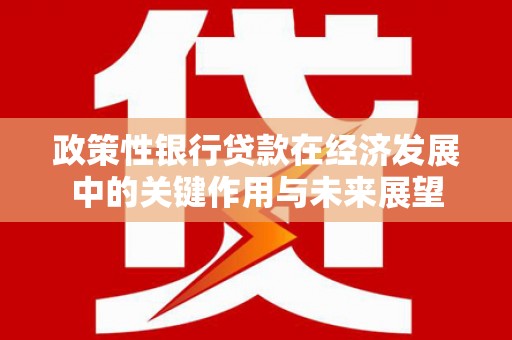 新屋政策性银行贷款在经济发展中的关键作用与未来展望