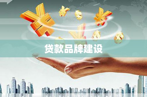 南湖贷款品牌建设