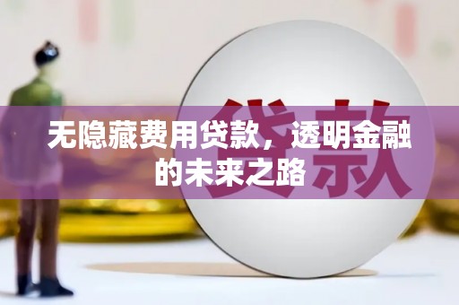 玉树无隐藏费用贷款，透明金融的未来之路