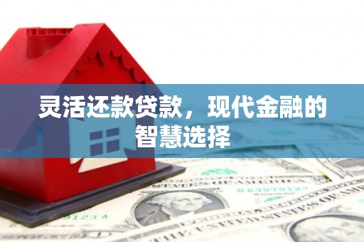 泗阳灵活还款贷款，现代金融的智慧选择