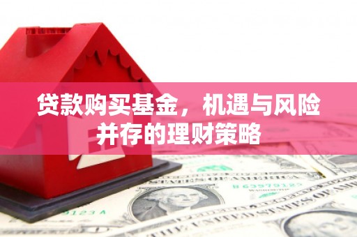 皇姑贷款购买基金，机遇与风险并存的理财策略