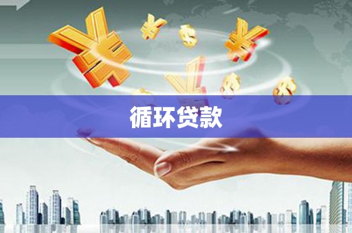 九台循环贷款