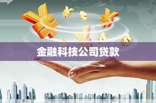 瀍河金融科技公司贷款