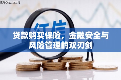 高要贷款购买保险，金融安全与风险管理的双刃剑