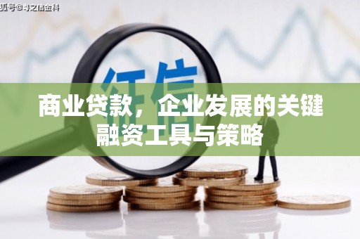 花地玛堂区商业贷款，企业发展的关键融资工具与策略