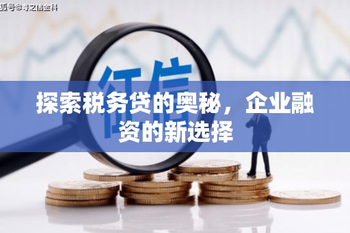 鄂伦春探索税务贷的奥秘，企业融资的新选择