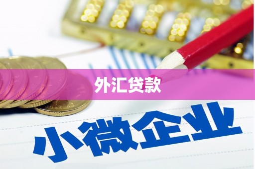 武川外汇贷款