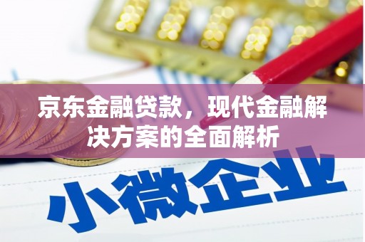 彝良京东金融贷款，现代金融解决方案的全面解析