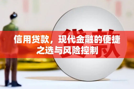横山信用贷款，现代金融的便捷之选与风险控制