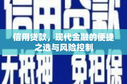 芎林信用贷款，现代金融的便捷之选与风险控制