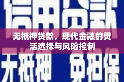 大内无抵押贷款，现代金融的灵活选择与风险控制