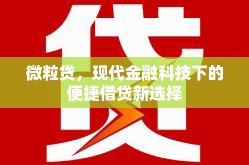 华龙微粒贷，现代金融科技下的便捷借贷新选择