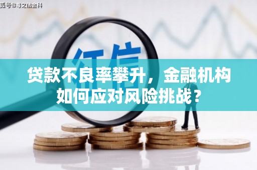 秦淮贷款不良率攀升，金融机构如何应对风险挑战？