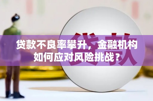 宣威贷款不良率攀升，金融机构如何应对风险挑战？