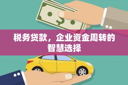 措勤税务贷款，企业资金周转的智慧选择