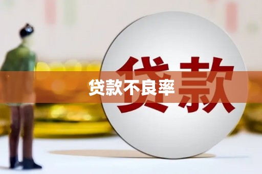 邗江贷款不良率
