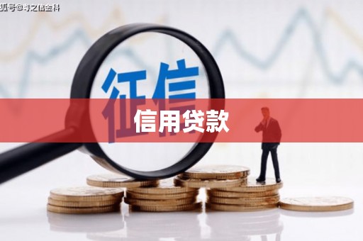 公安信用贷款