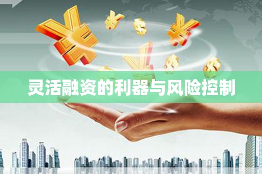 林州灵活融资的利器与风险控制