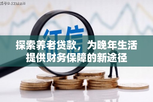 大林探索养老贷款，为晚年生活提供财务保障的新途径