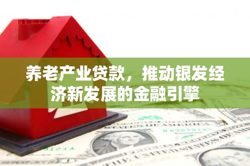 元谋养老产业贷款，推动银发经济新发展的金融引擎