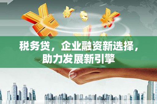 西吉税务贷，企业融资新选择，助力发展新引擎