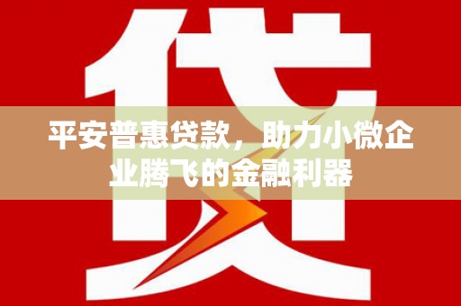 荔浦平安普惠贷款，助力小微企业腾飞的金融利器