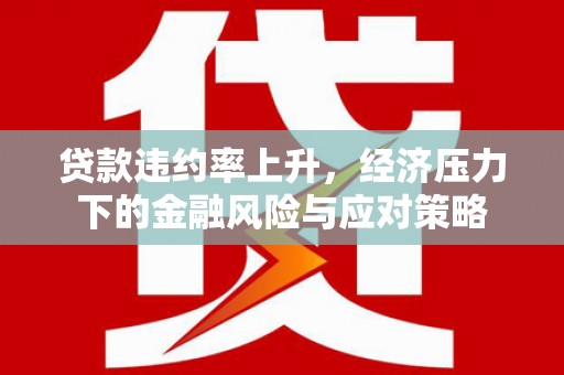 雨山贷款违约率上升，经济压力下的金融风险与应对策略
