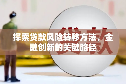 土库探索贷款风险转移方法，金融创新的关键路径
