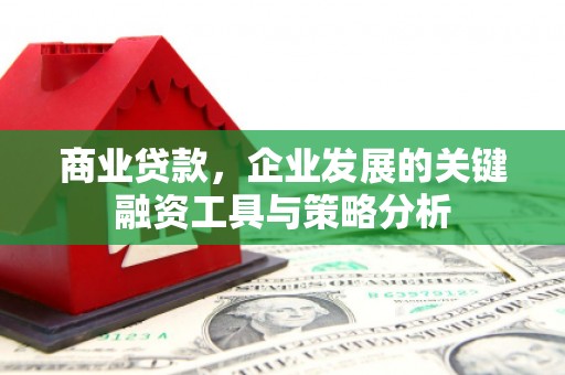 浑源商业贷款，企业发展的关键融资工具与策略分析