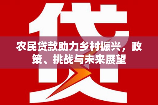 宣化农民贷款助力乡村振兴，政策、挑战与未来展望