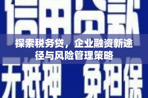 浑南探索税务贷，企业融资新途径与风险管理策略