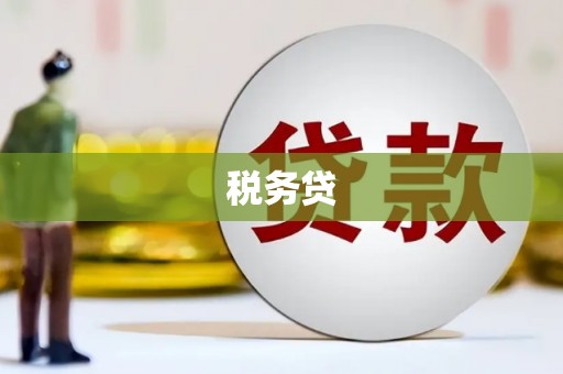 泸西税务贷