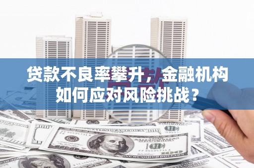 湘东贷款不良率攀升，金融机构如何应对风险挑战？