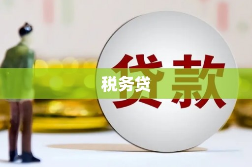 金阳税务贷