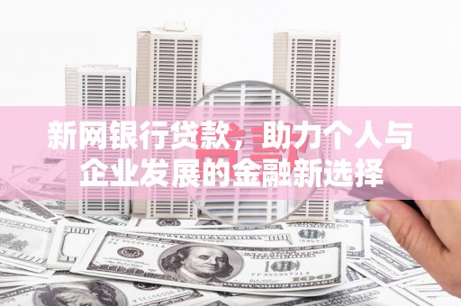 南海新网银行贷款，助力个人与企业发展的金融新选择