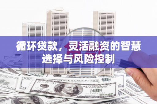 阳泉循环贷款，灵活融资的智慧选择与风险控制