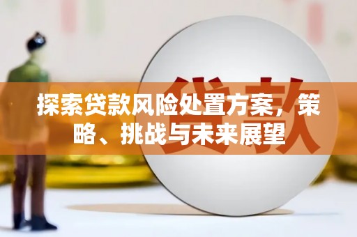 麻豆探索贷款风险处置方案，策略、挑战与未来展望