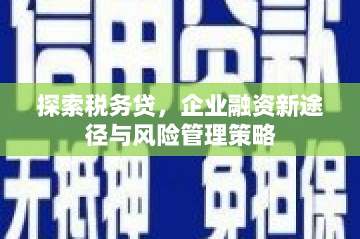 伽师探索税务贷，企业融资新途径与风险管理策略