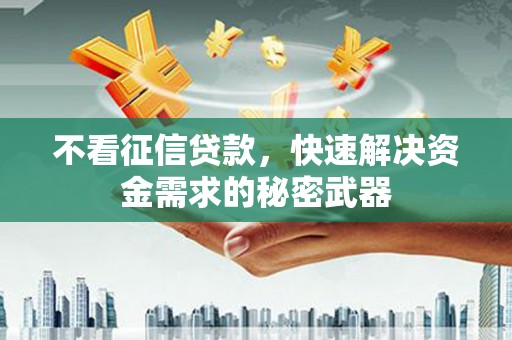 洞口不看征信贷款，快速解决资金需求的秘密武器