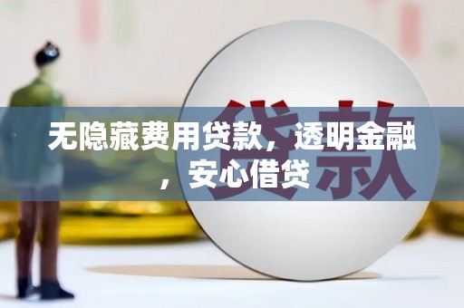 桃江无隐藏费用贷款，透明金融，安心借贷