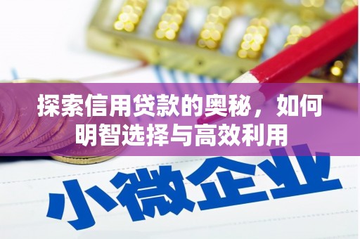 伊犁哈萨克探索信用贷款的奥秘，如何明智选择与高效利用
