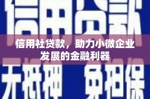 宁武信用社贷款，助力小微企业发展的金融利器