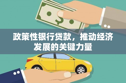 兴平政策性银行贷款，推动经济发展的关键力量