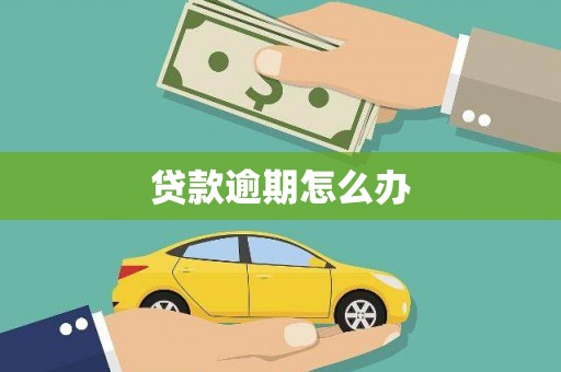城东贷款逾期怎么办