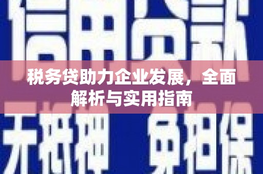 大祥税务贷助力企业发展，全面解析与实用指南