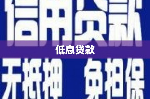 大堂低息贷款